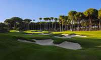 carya golf club